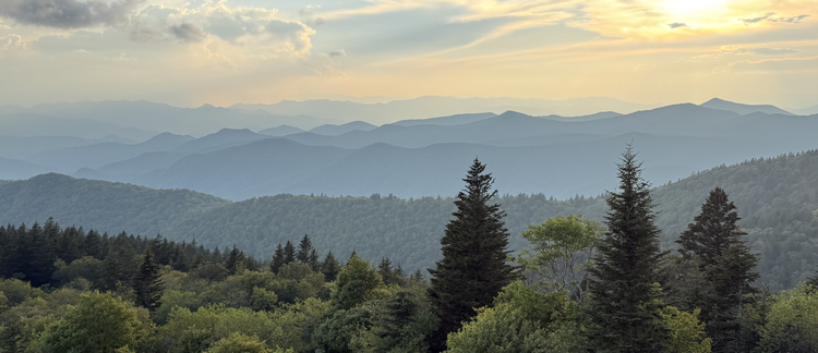 Antibiotic Discovery: Extracting and Isolating a Novel Natural Product from Herbaspirillum sp.