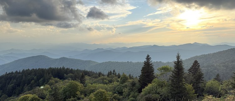 Volume 29 &bull; Issue 2 &bull; 2016 &bull; Fall hero image.